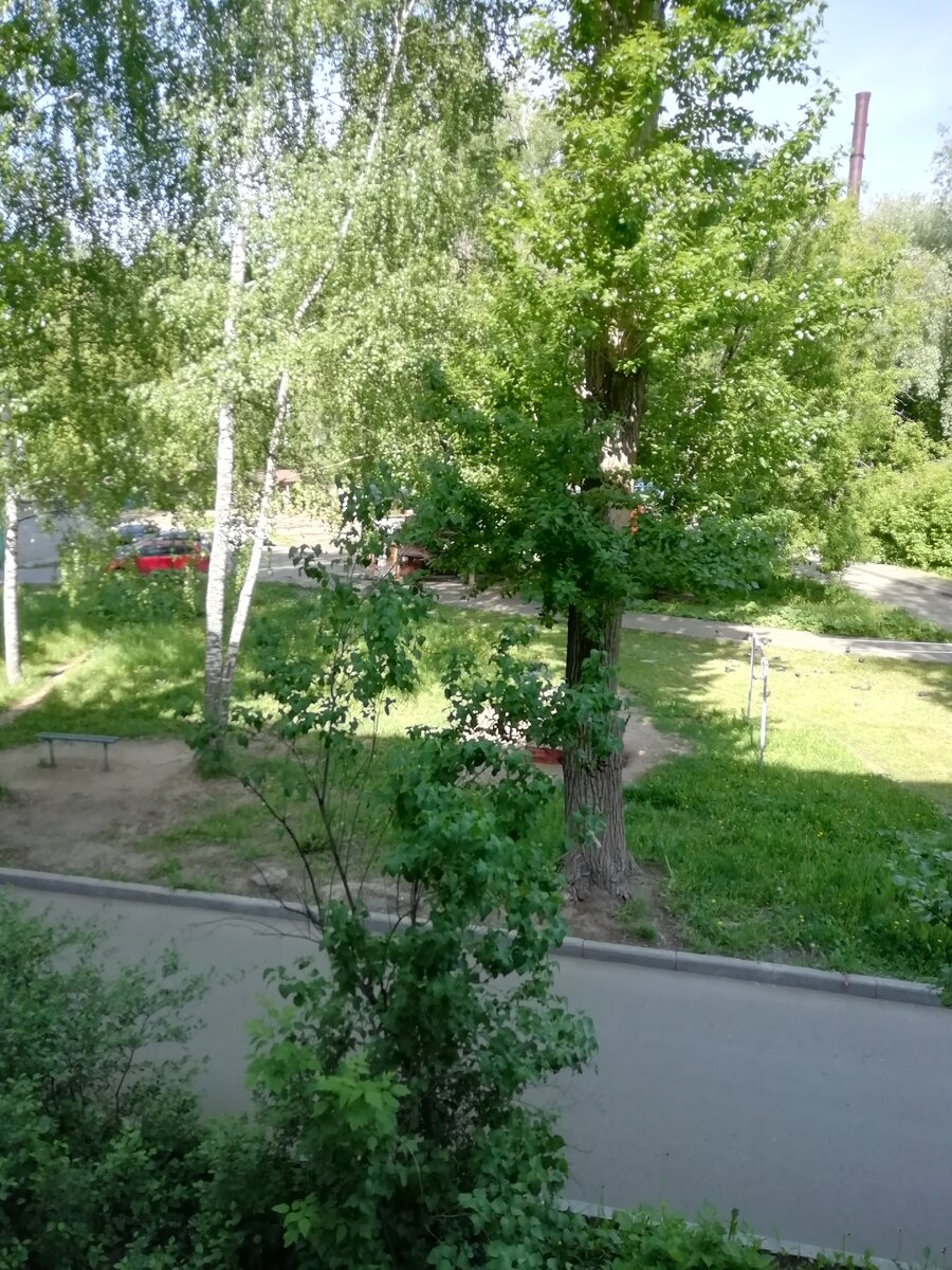 Лето в разгаре