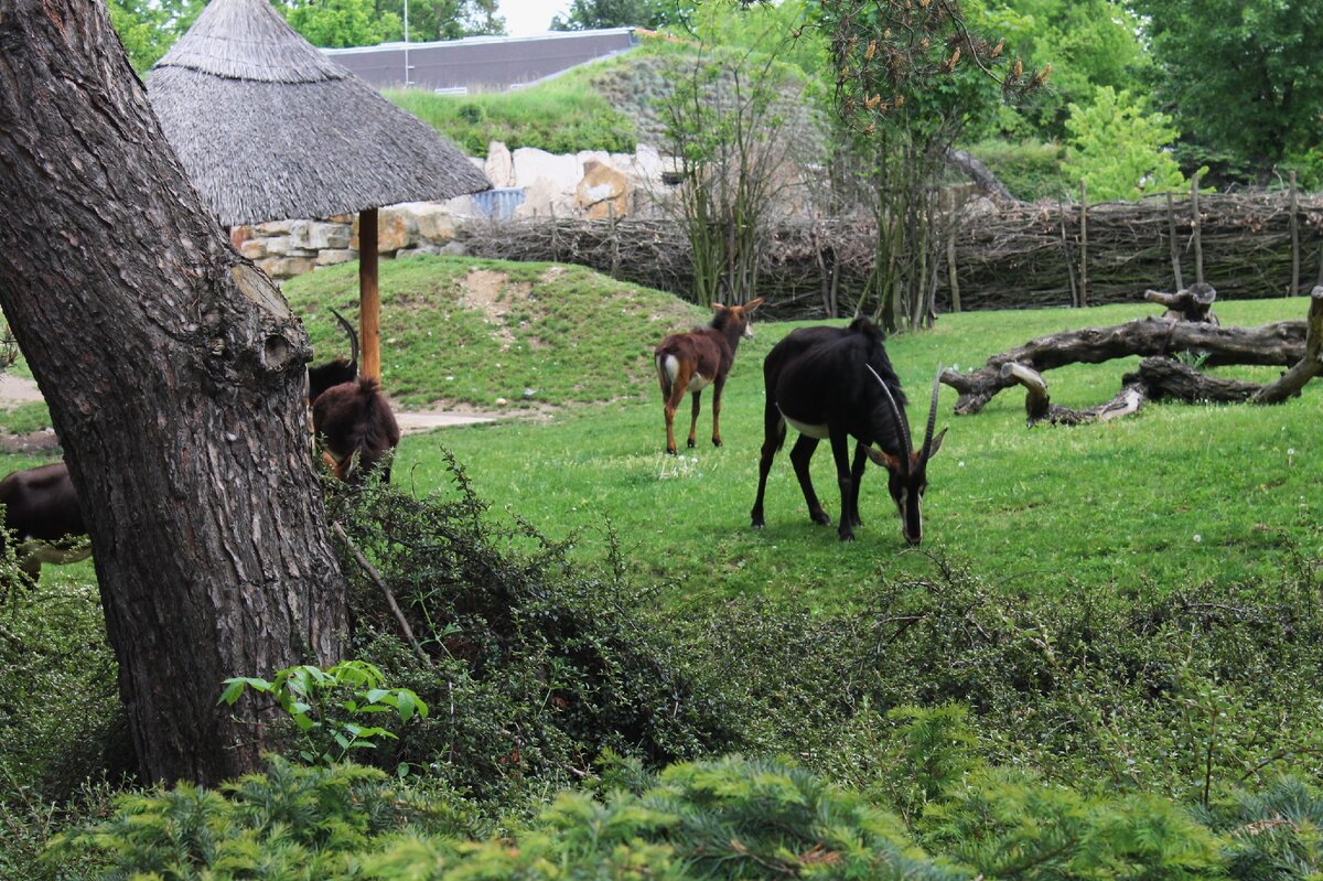Фото из личного архива.