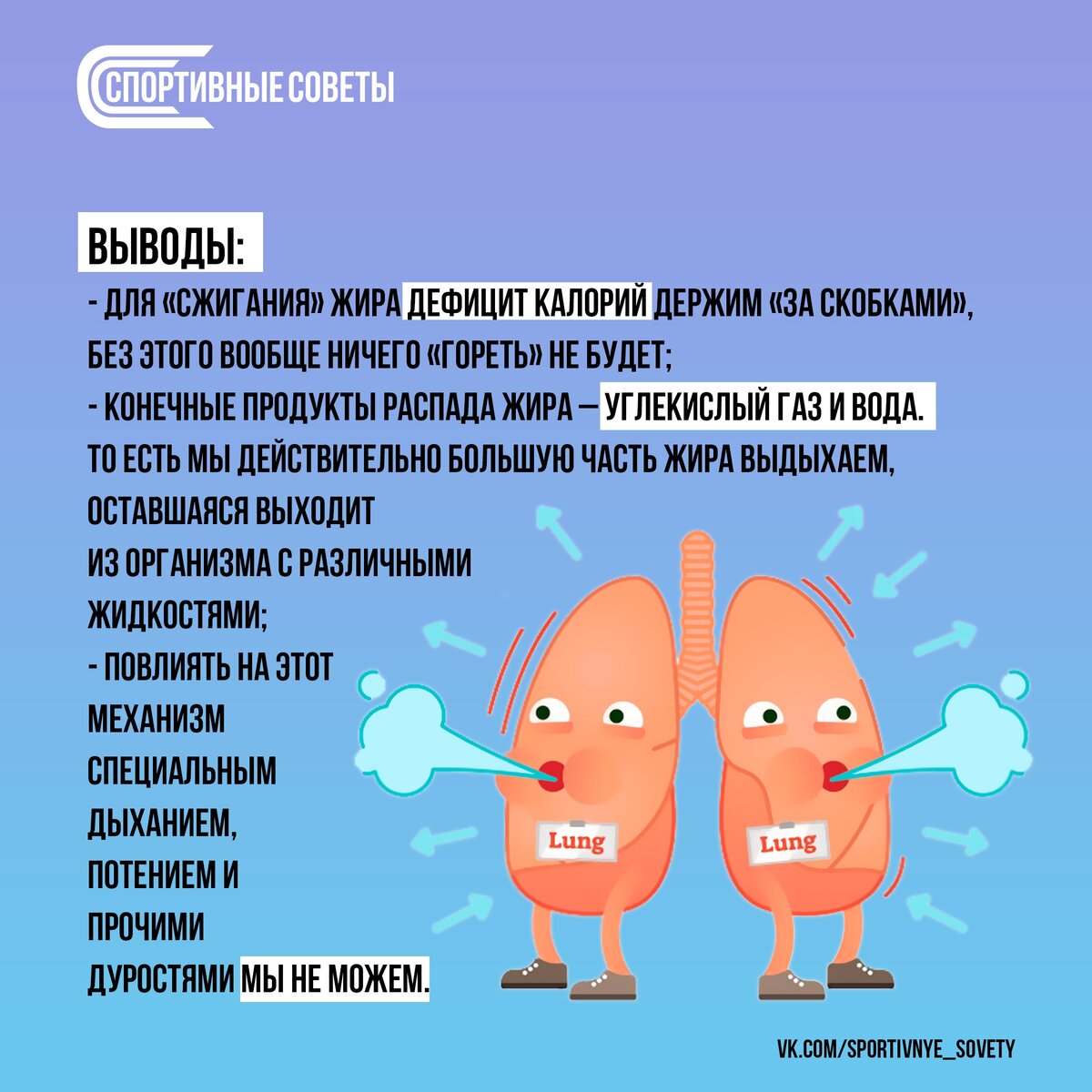 Жир уходи. Диета для спортсменов для сжигания жира. Куда уходит жир. Как выходит жир когда худеешь. Куда уходит жир.