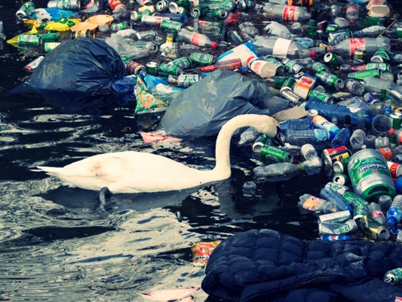 Влияние перепроизводства на экологию