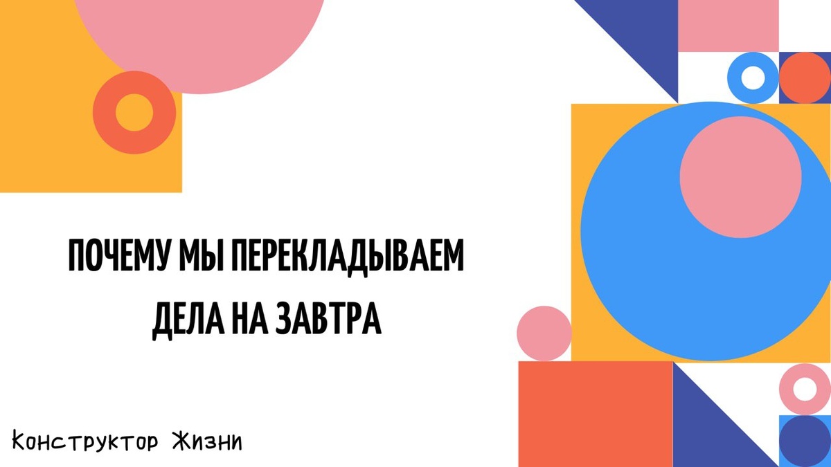 конструктор жизни