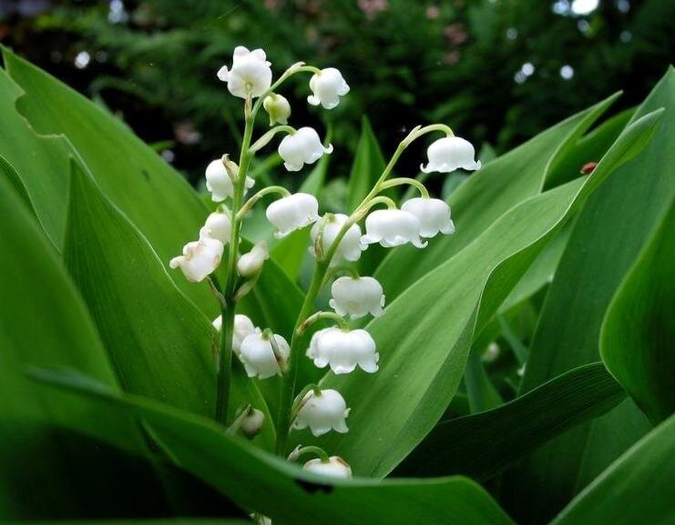 Взято из открытых источников