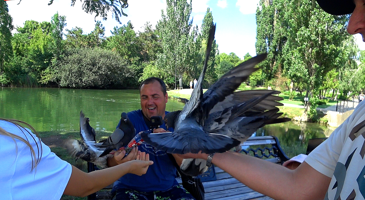 Евгения атаковали ))