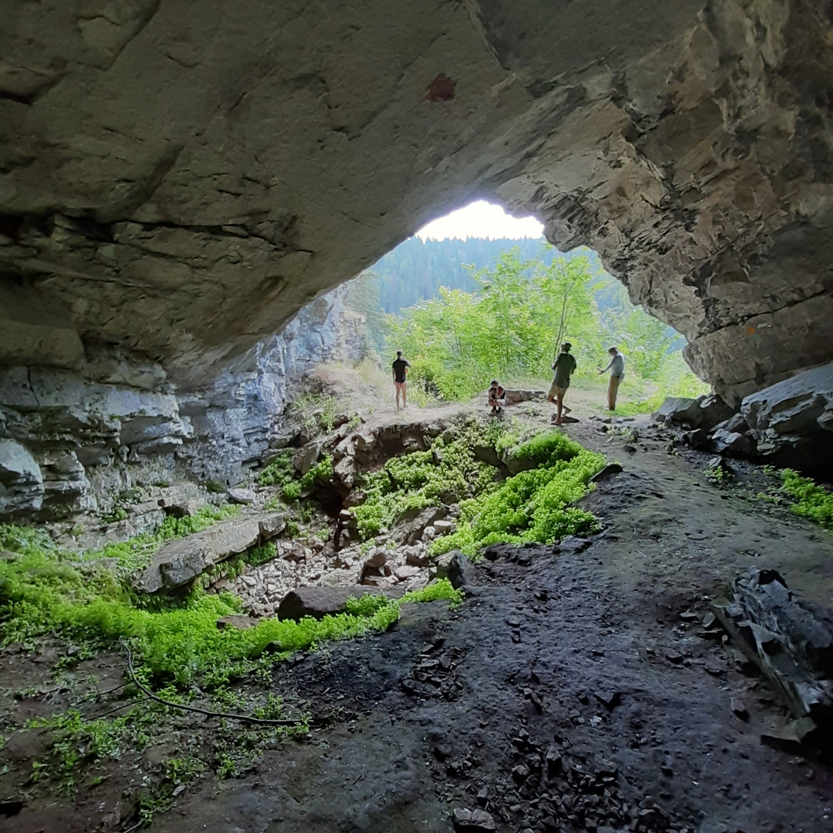 "Окно в иной мир"