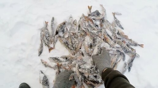 Техника ломалась но Рыбы море. Серьезная поломка в тайге. Рыбалка на Диком озере. Отдых по мужски