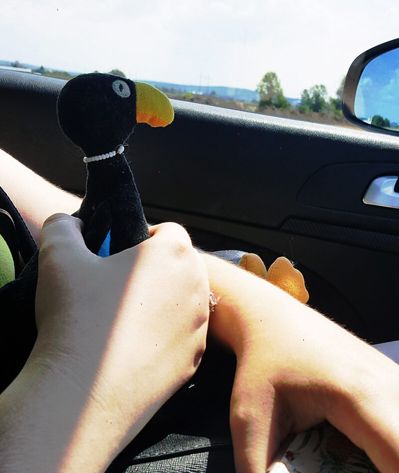 Это поганка, без которой наше путешествие не может обойтись. 