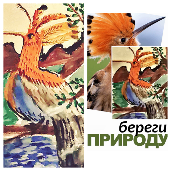 Рис. «Удод. Береги природу». Автор: Яков Пушкарев (мой внук, 10 лет)