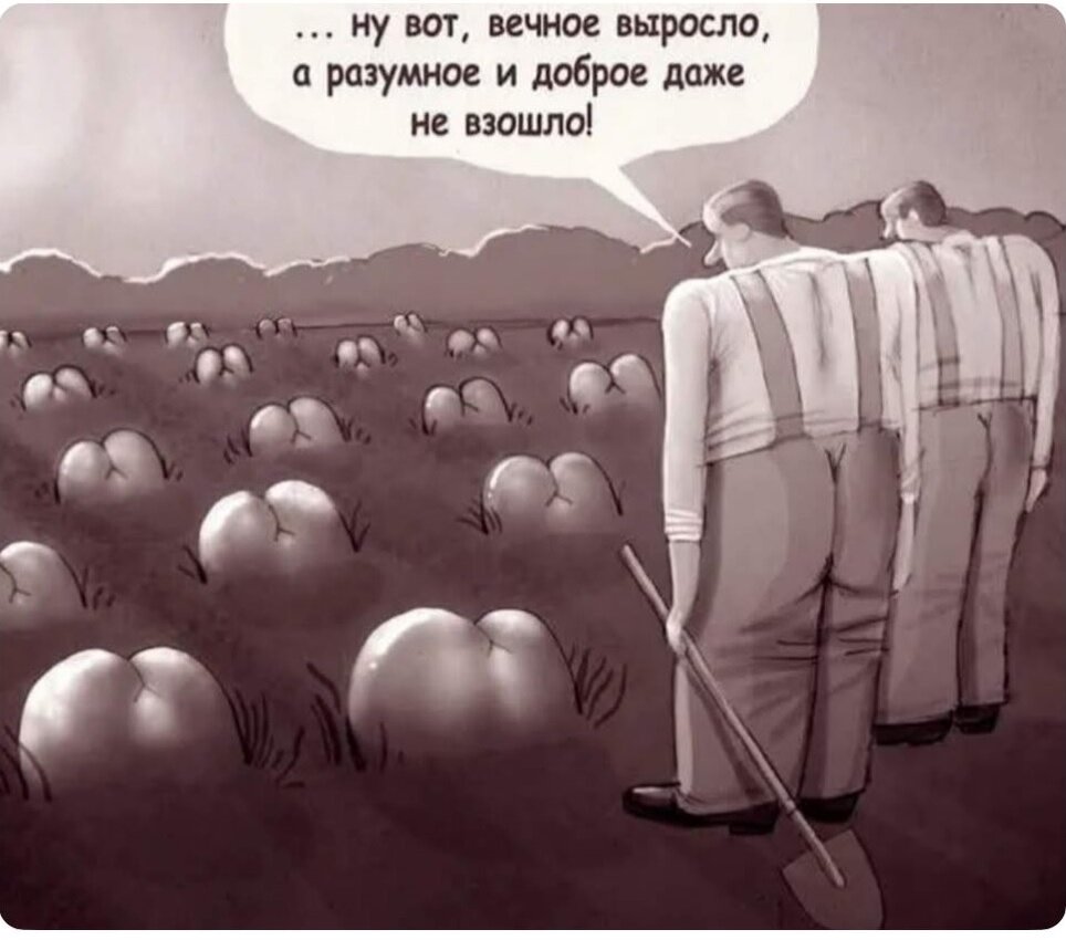 Маленький, но свой житейский опыт                                                                                                           Мне милей ума с недавних пор,
Потому что поротая опа –
Самый замечательный прибор.
                                                                 И.Губерман
