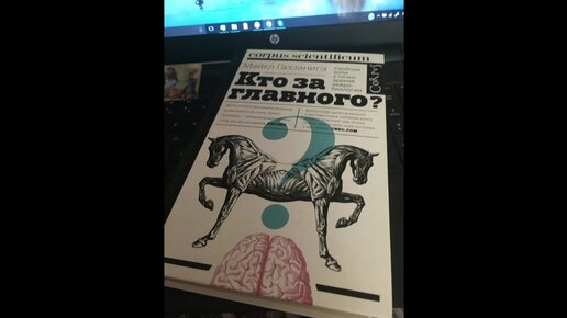 Майкл Газзанига - Кто за главного? | Кто по-вашему управляет вами: вы мозгом или наоборот