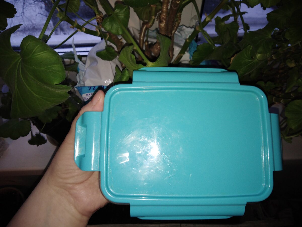 Контейнер с крышкой