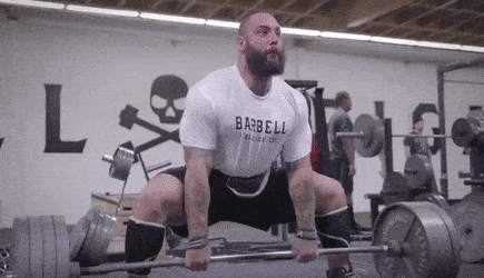 Становая тяга сумо