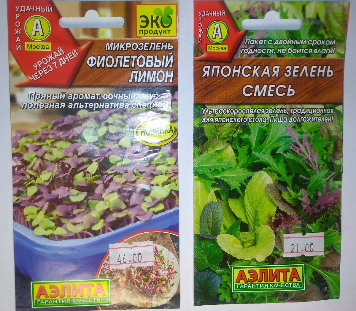 Зелень и микрозелень. Фото моё.