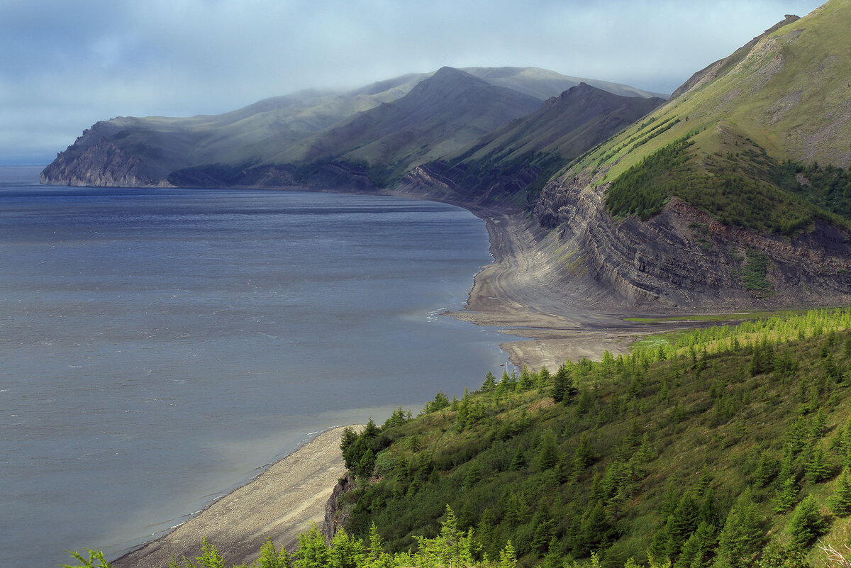 лена впадает в море