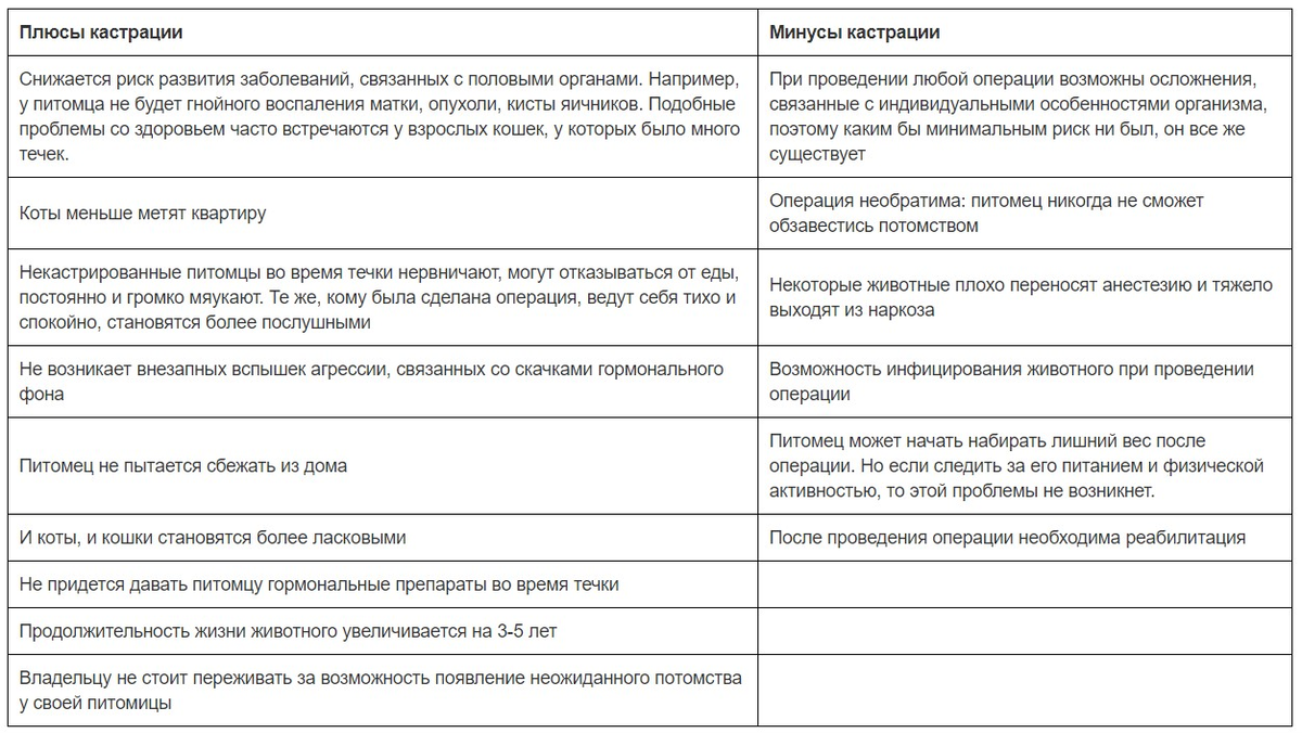 Когда можно кормить после кастрации. Стерилизация котов плюсы и минусы. Плюсы и минусы кастрации. Стерилизация и кастрация плюсы и минусы. Кастрация кобеля плюсы и минусы.