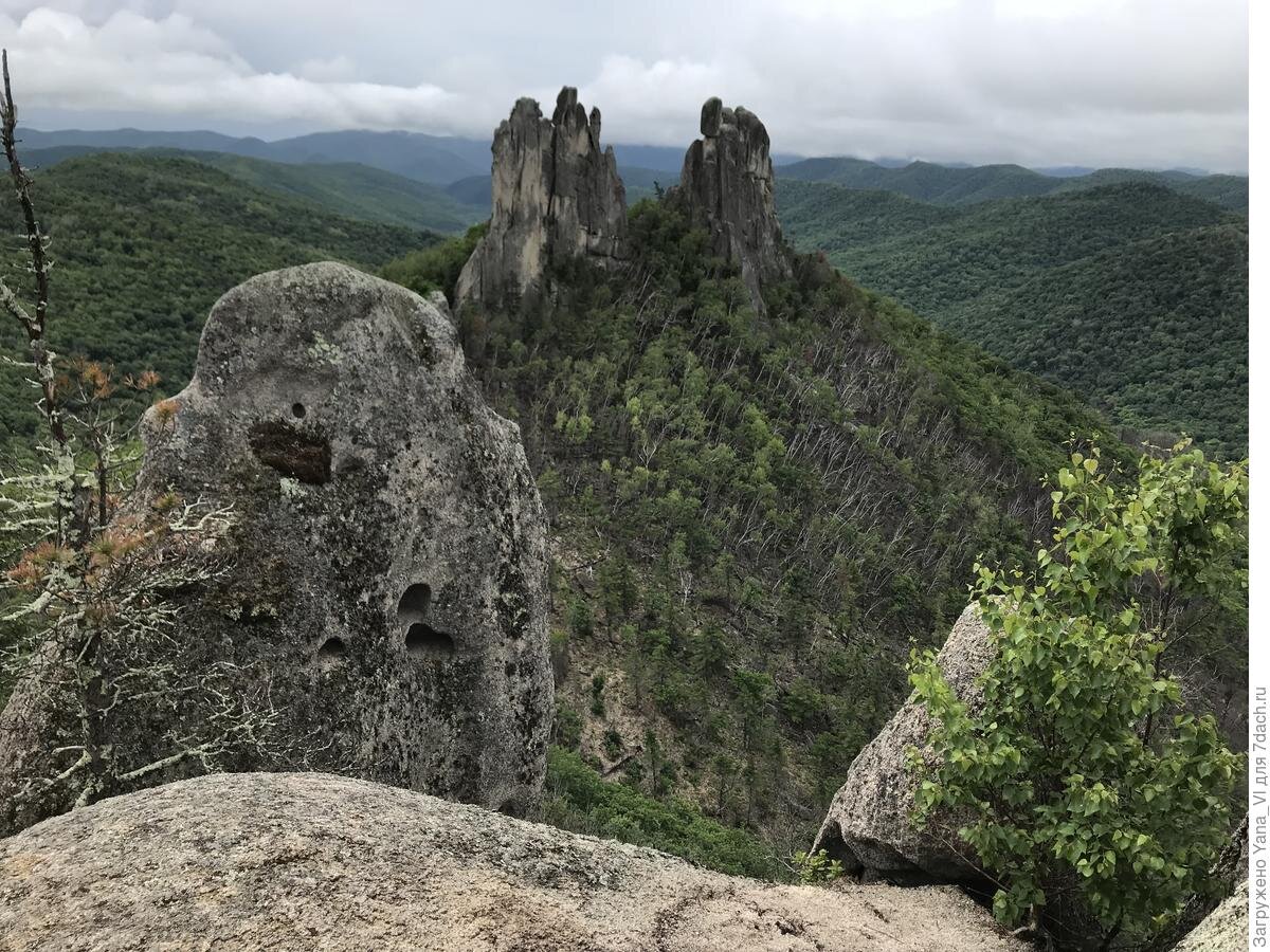 Приморье парк драконов