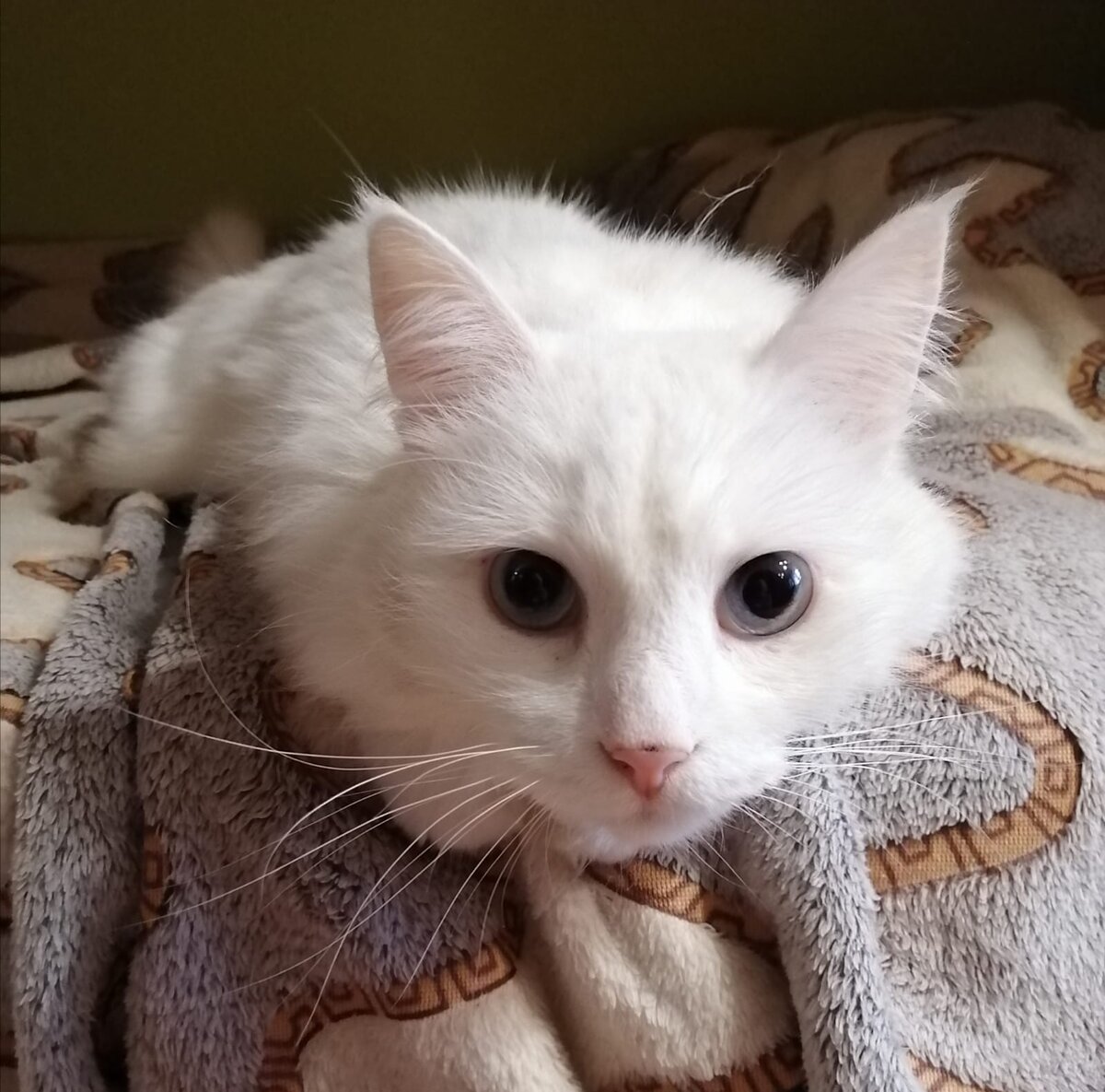 Фото взято из личного архива автора. 