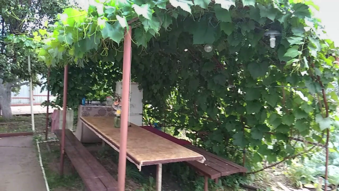 Наша беседка.