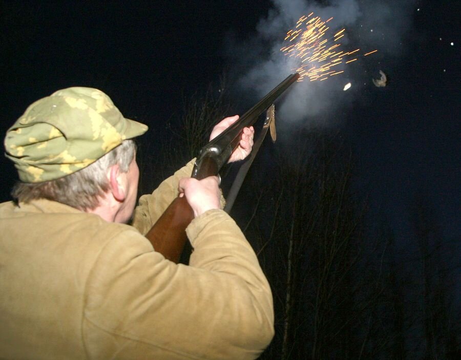 фото из интернета