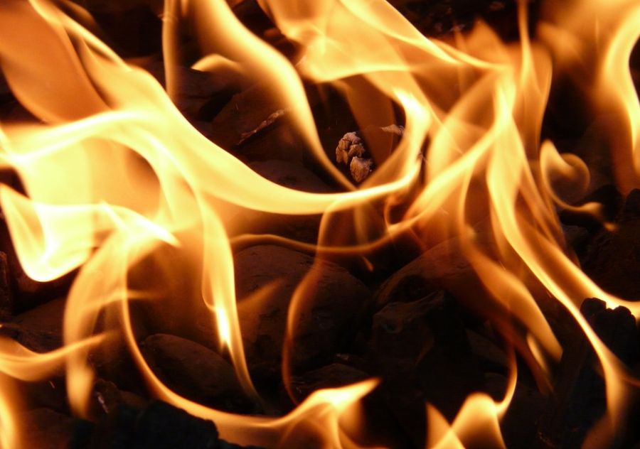 Фото для иллюстрации статьи взято с сайта Pixabay.com