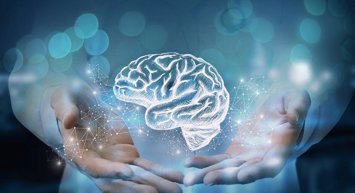 brainbanksingapore.org