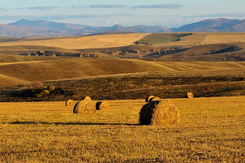 Источник: static.orgpage.ru