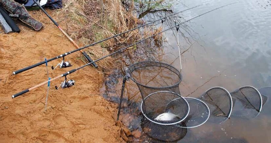 Фото с сайта: https://gruzarf.ru