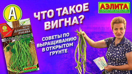 Что такое вигна? Ценная культура для вашего здорового питания!