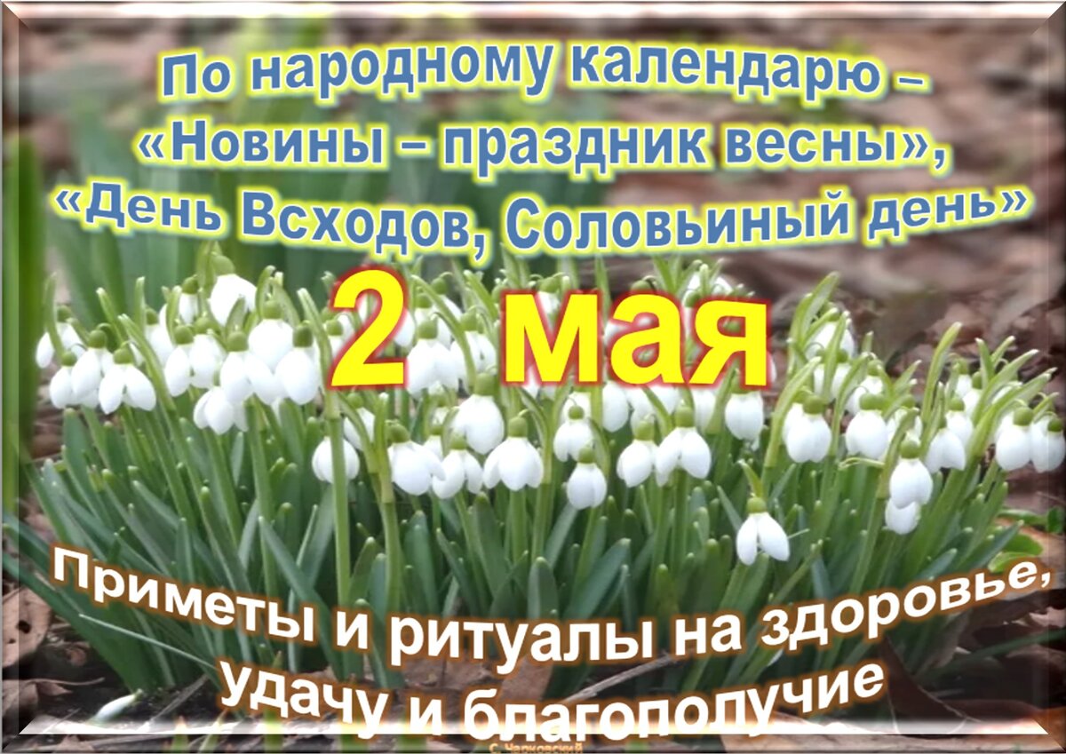 Встречаем новый день