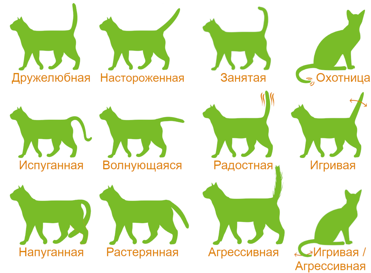 Источник фото  https://avatars.mds.yandex.ne
