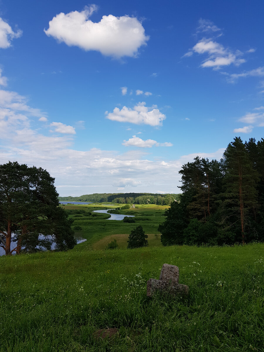 Замок в лесу Пушкинские горы