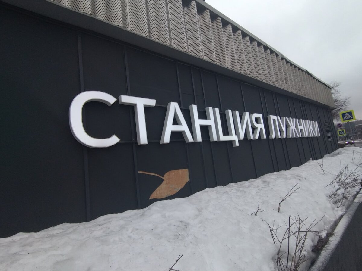 Станция "Лужники" Канатки