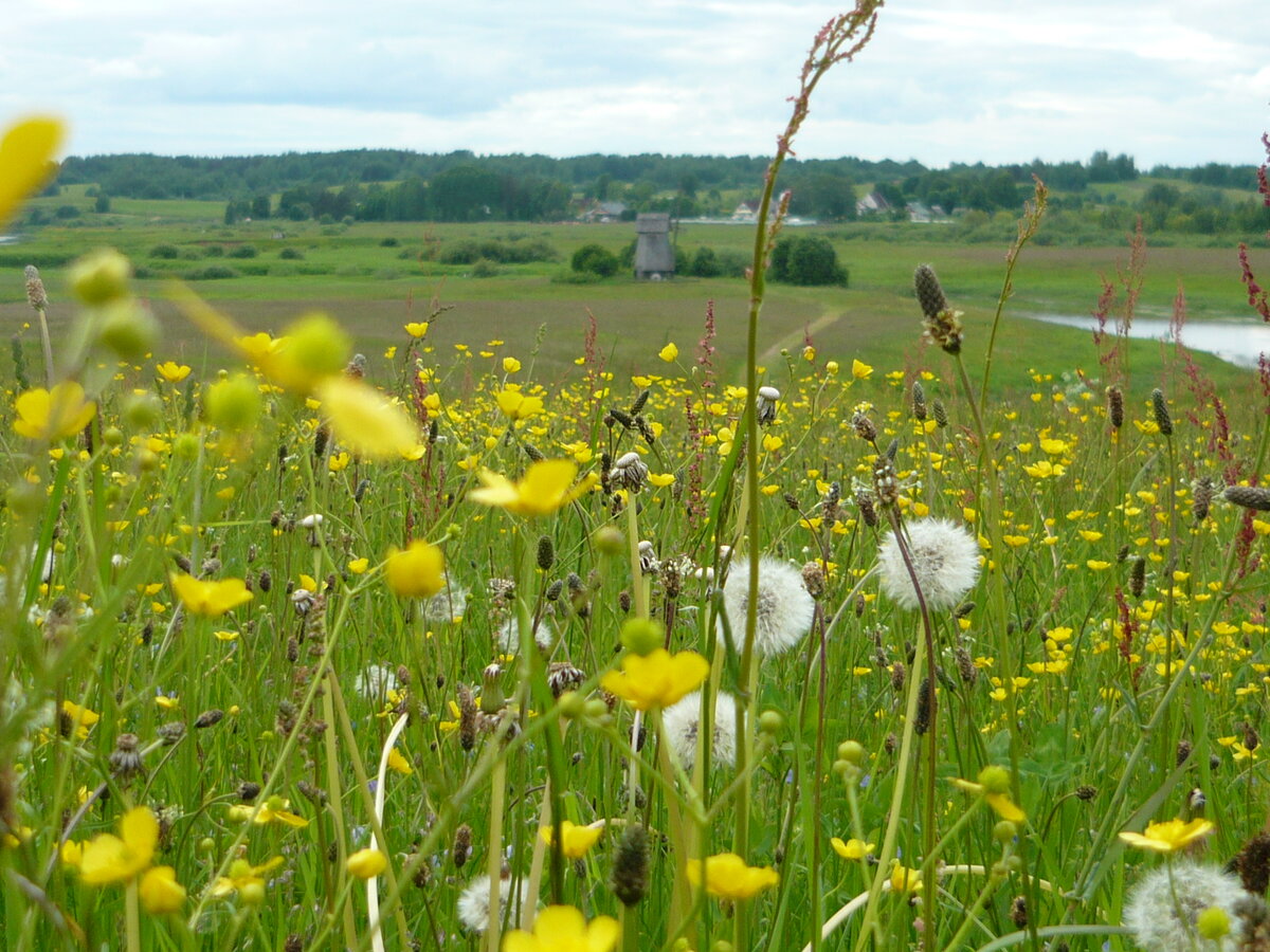 Михайловское