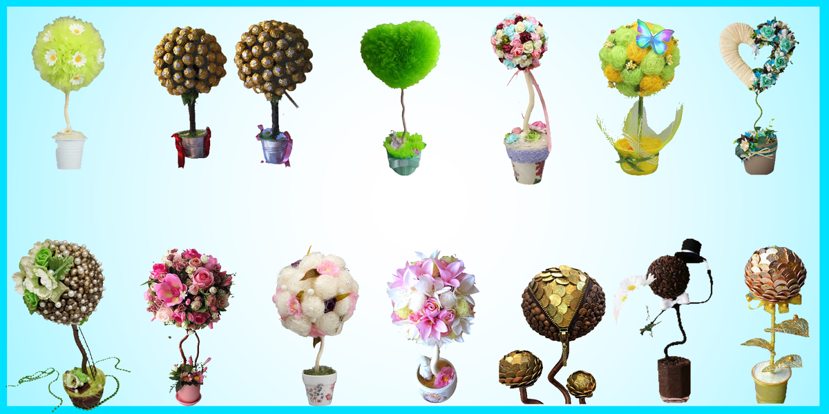 Как выбрать топиар для изготовления