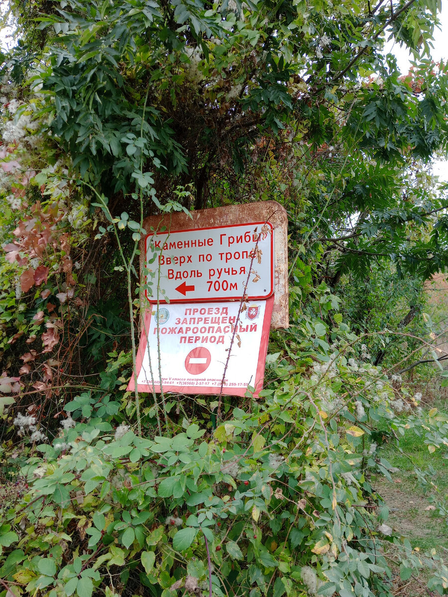 Тот самый указатель