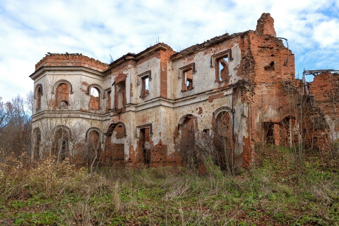    Фото: Karasev Viktor / Shutterstock
