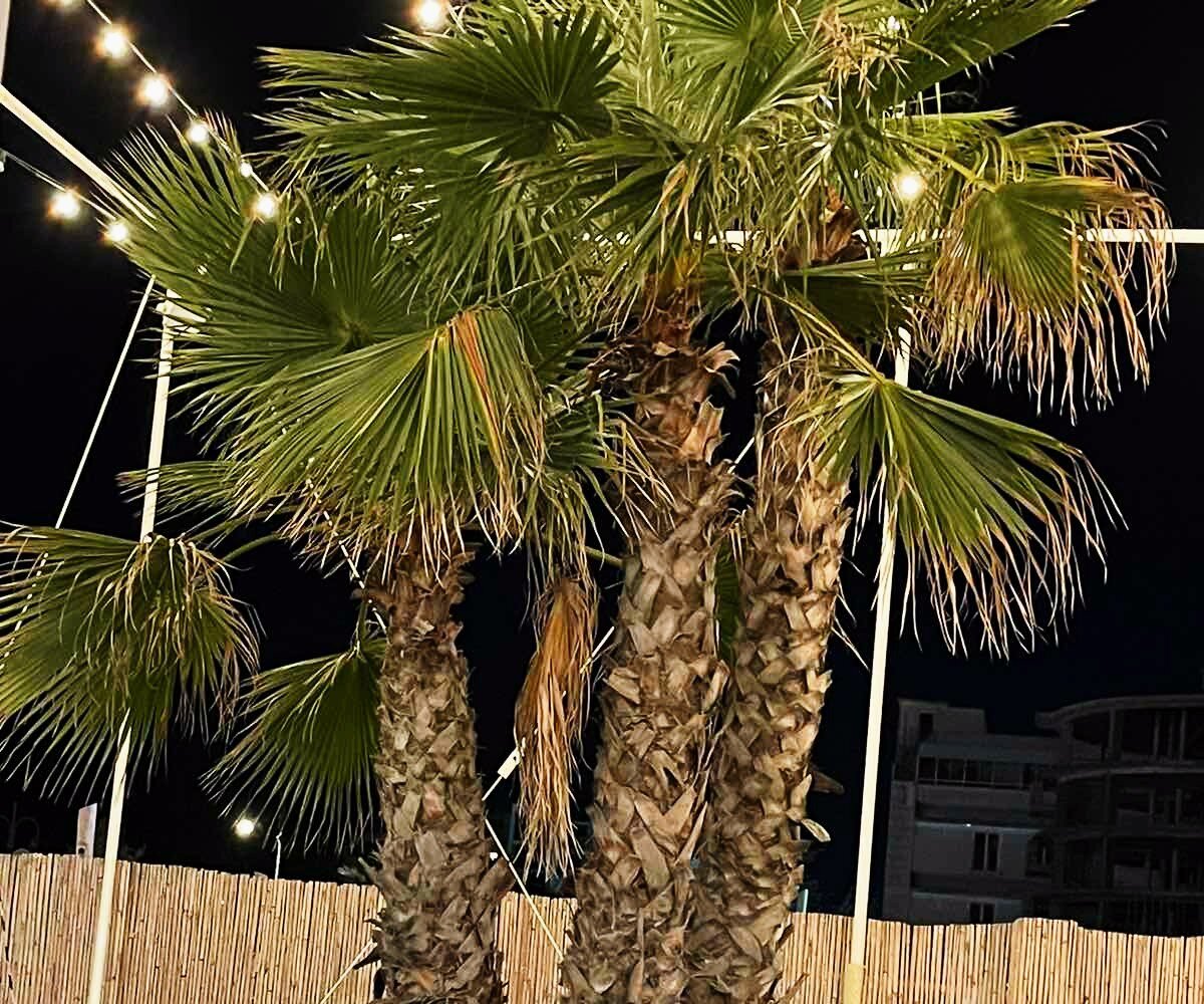 Морское побережье. Фотография из личного архива автора