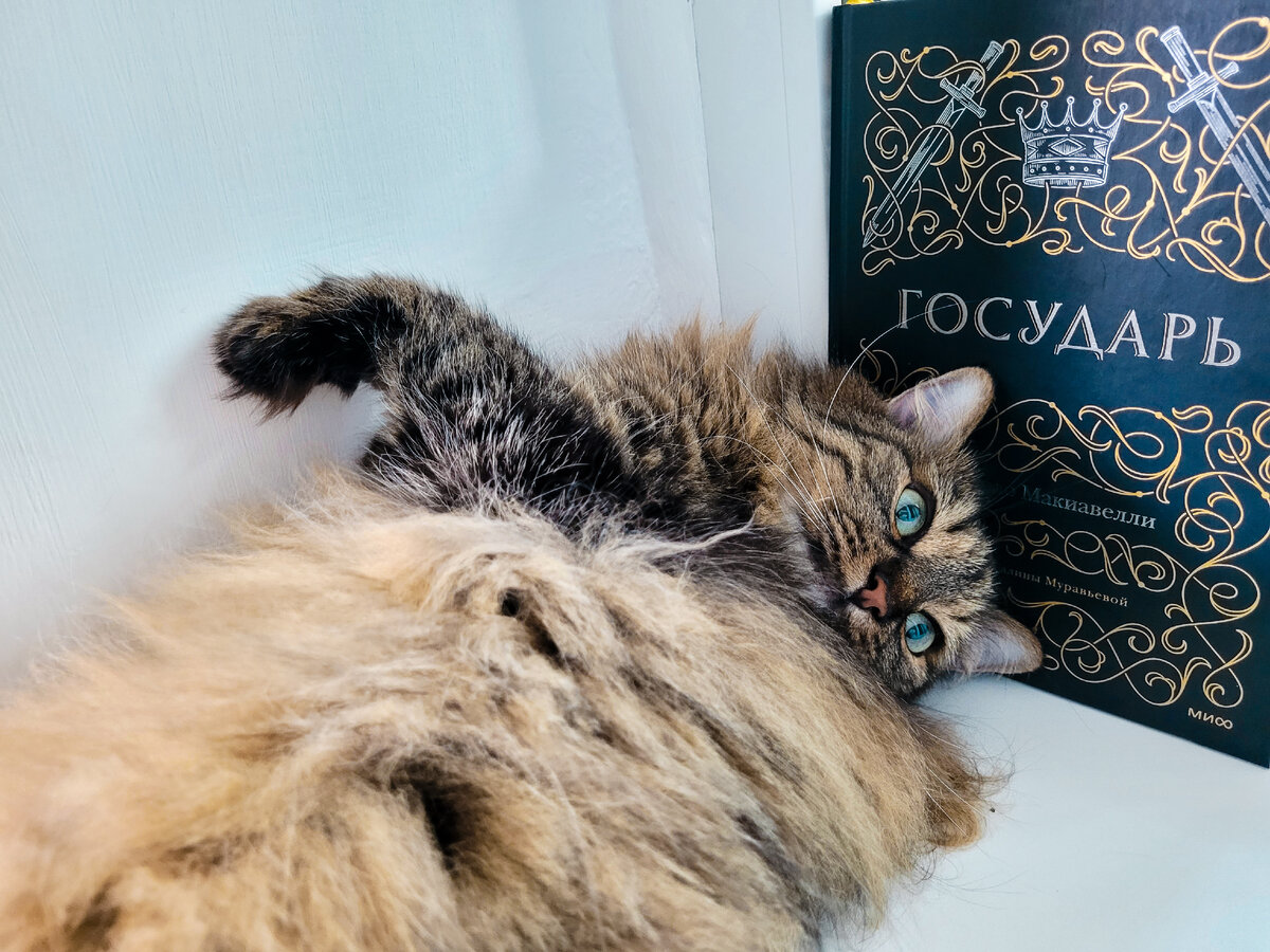 Моя государыня и книга, о которой я рассказываю. Листайте галерею, покажу поближе (книгу, не кошку)))
