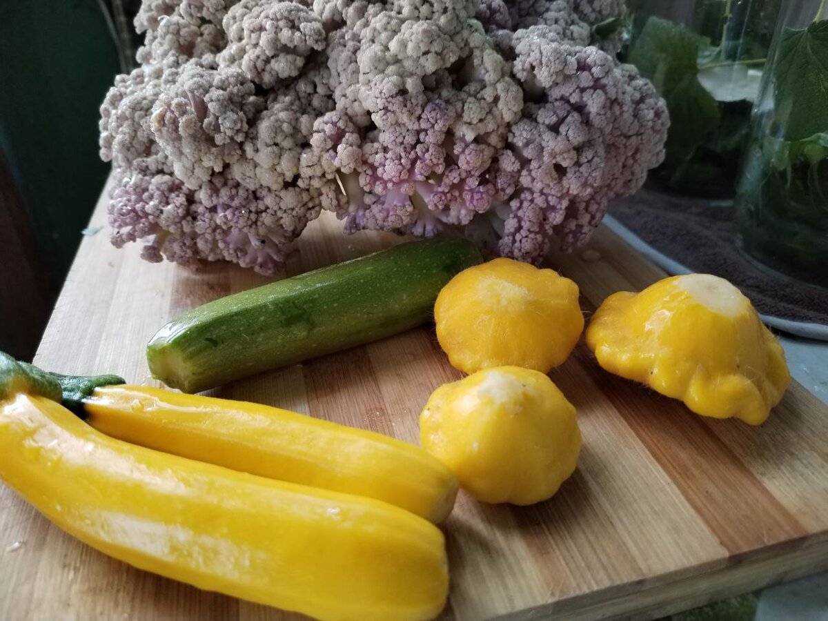 И кабачки, и капуста, и патиссоны - все уже своё))
