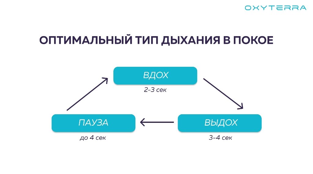 2 виды дыхания. 3cu+8hno3 ОВР. 3cu+8hno3. Hno3 kclo3. Cu no3 2 классификация.