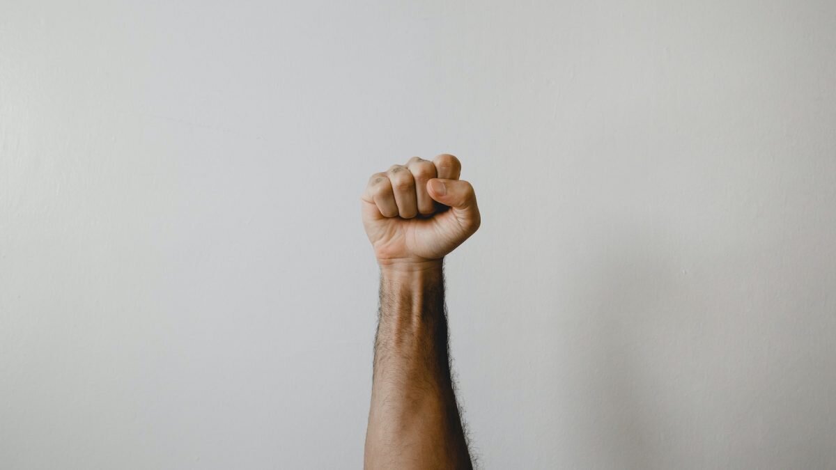    Фото: Unsplash Август Макаров