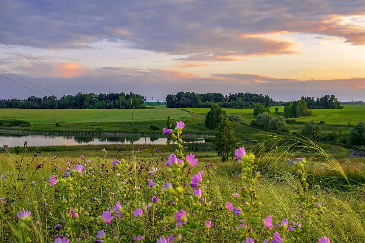 Картинка из Яндекса