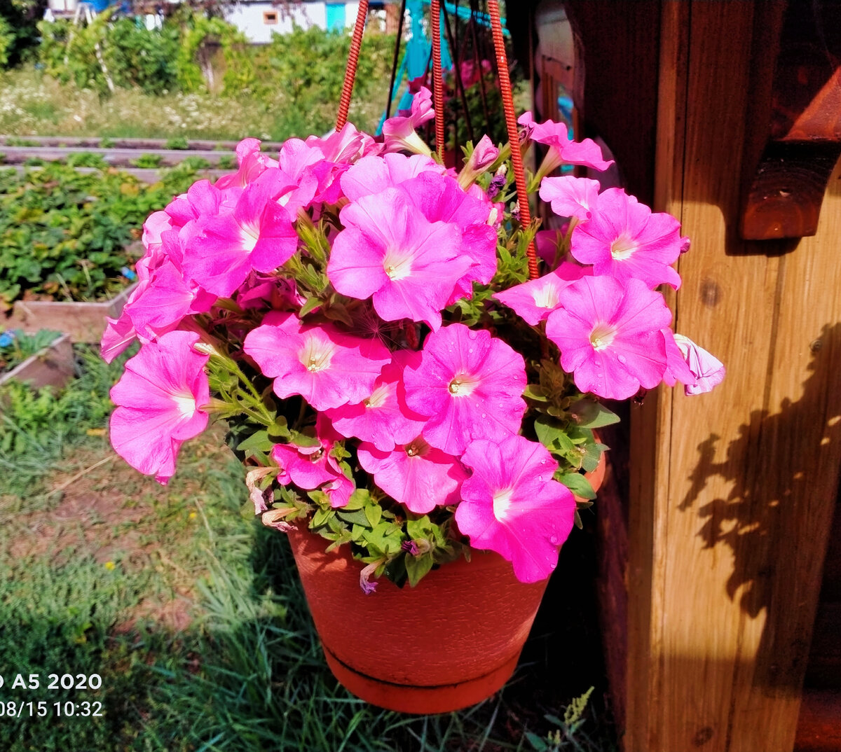 Лето осталось только на фото 