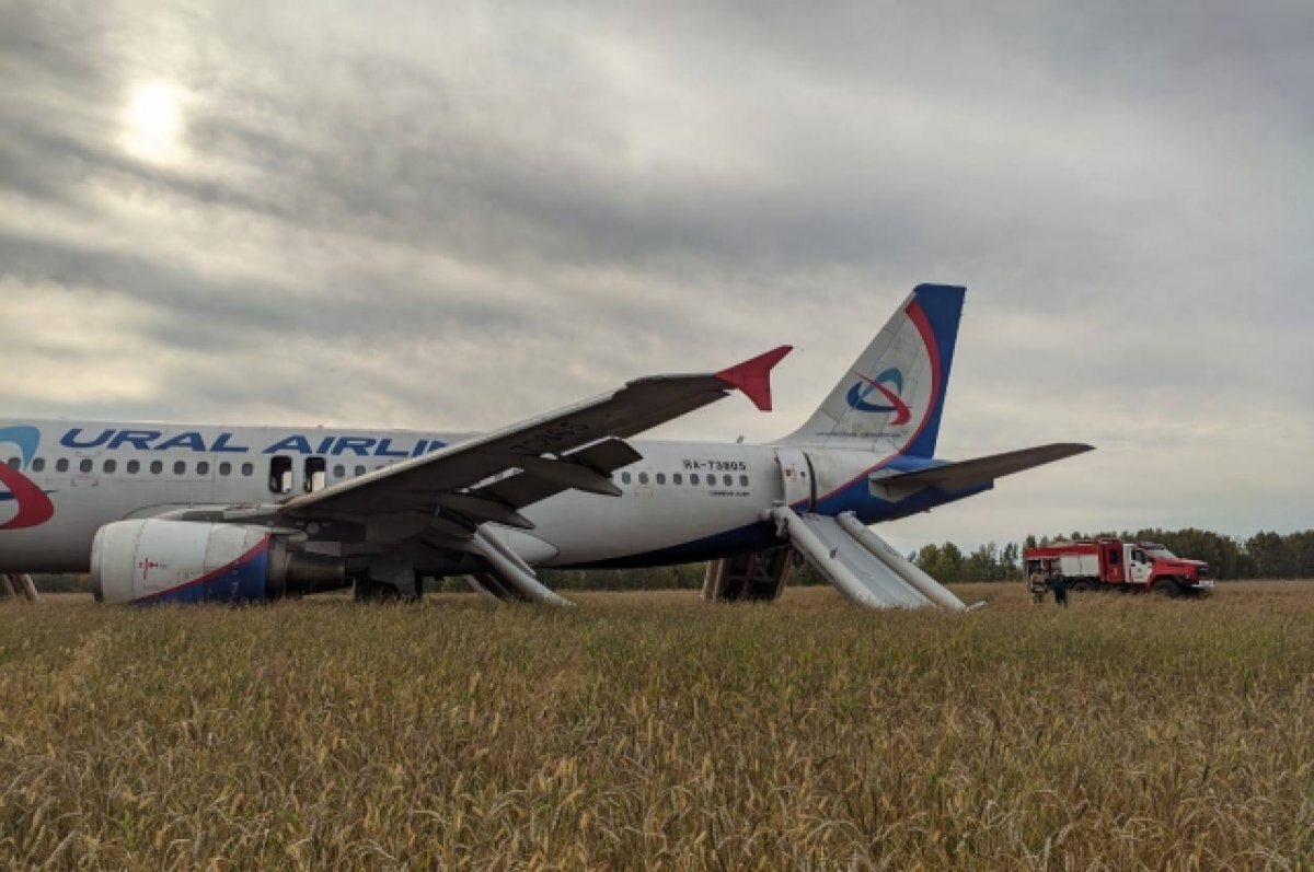    Стала известна причина посадки самолета Сочи — Омск в Новосибирской области