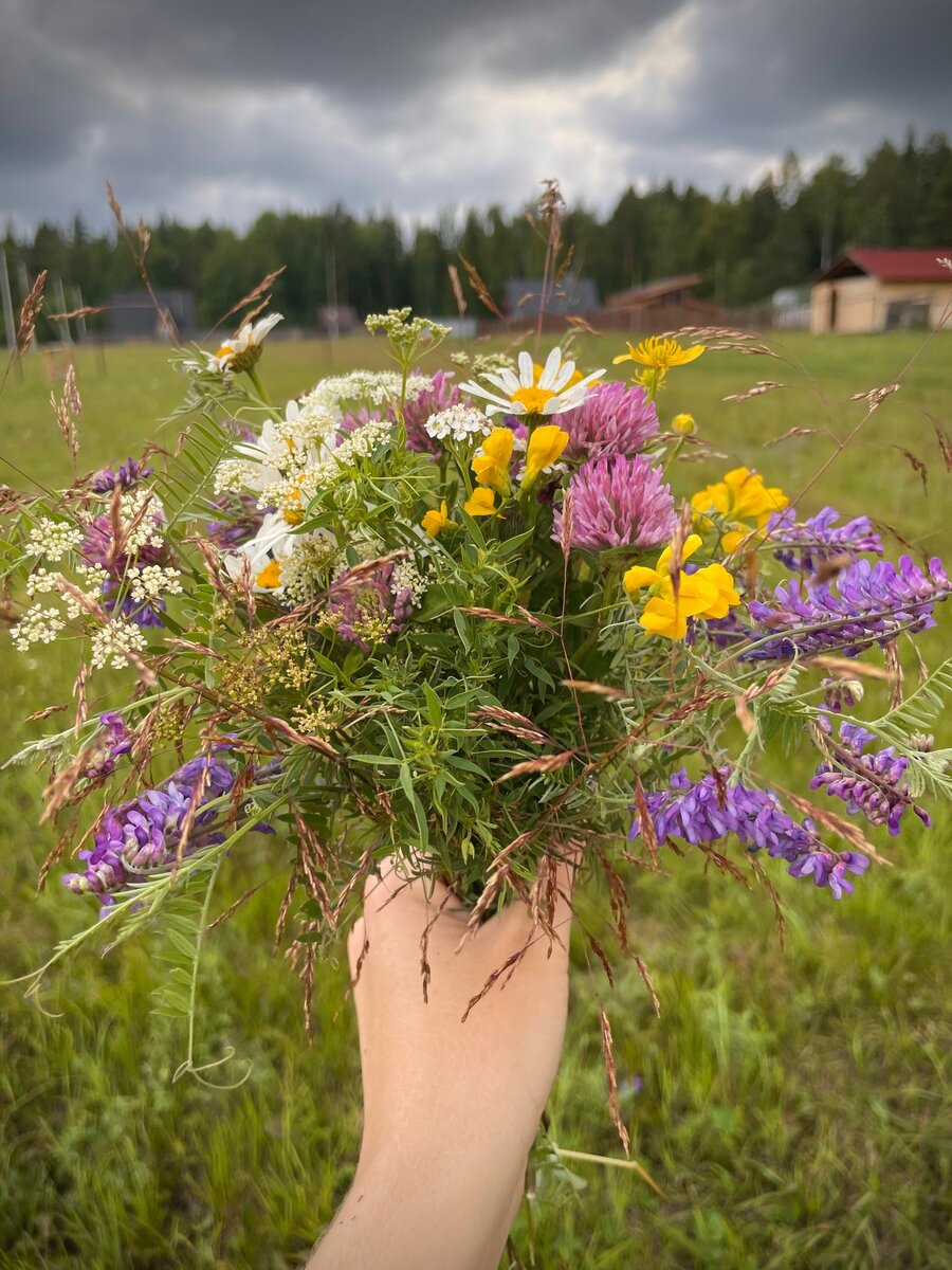 Малюсенький полевой букетик