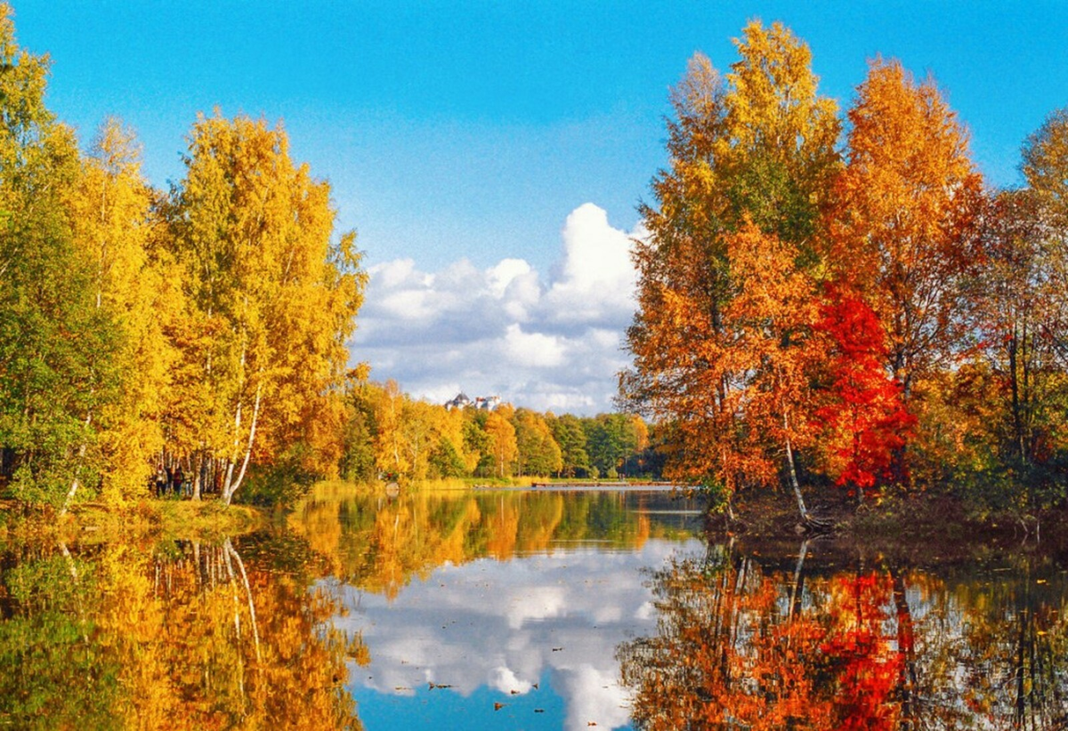 Яндекс Картинки.