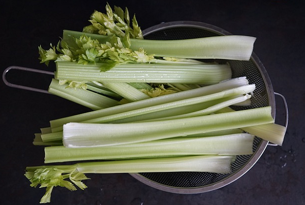 фото: https://pixabay.com