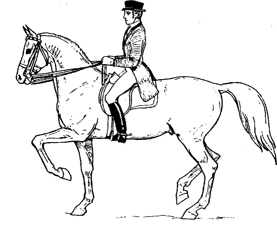 Картинка, ради разнообразия, с сервиса Яндекс.Картинки. Здесь лошадь не рысит, а выполняет пиаффе, но посадка от этого не становится менее правильной)) разве что, если вы просто рысите, руки можно опустить чуть ниже.