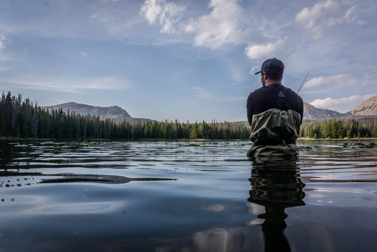 Источник: https://unsplash.com/