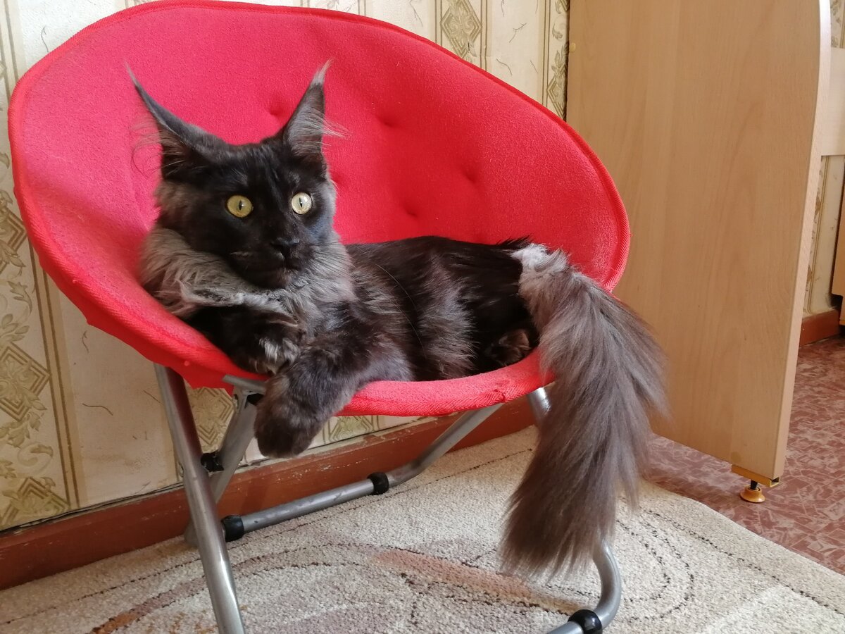 Первые часы у нас дома