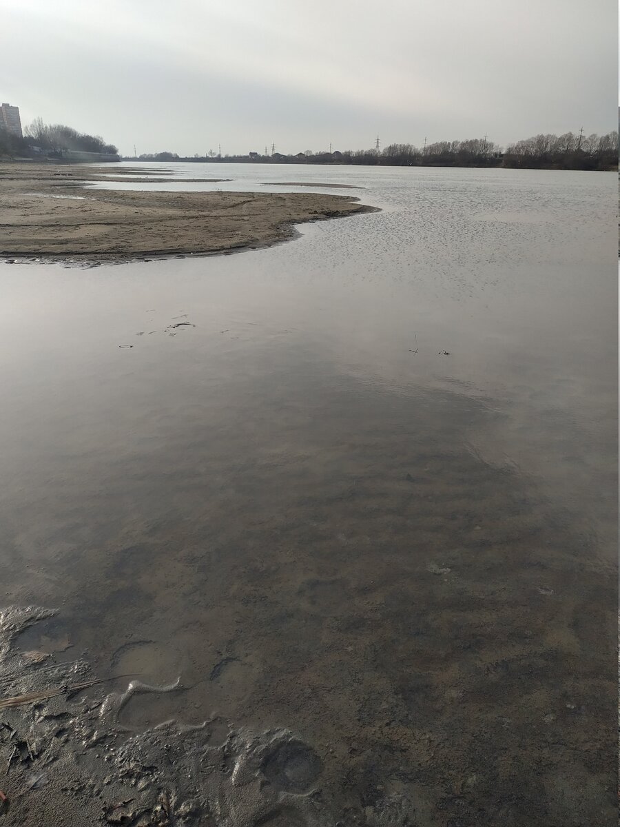 Кубань уровень воды в реке сегодня краснодар. Пересохшая река Кубань. Река Кубань в Анапе. Река Кубань поселок Белозерный. Рейн обмелел.